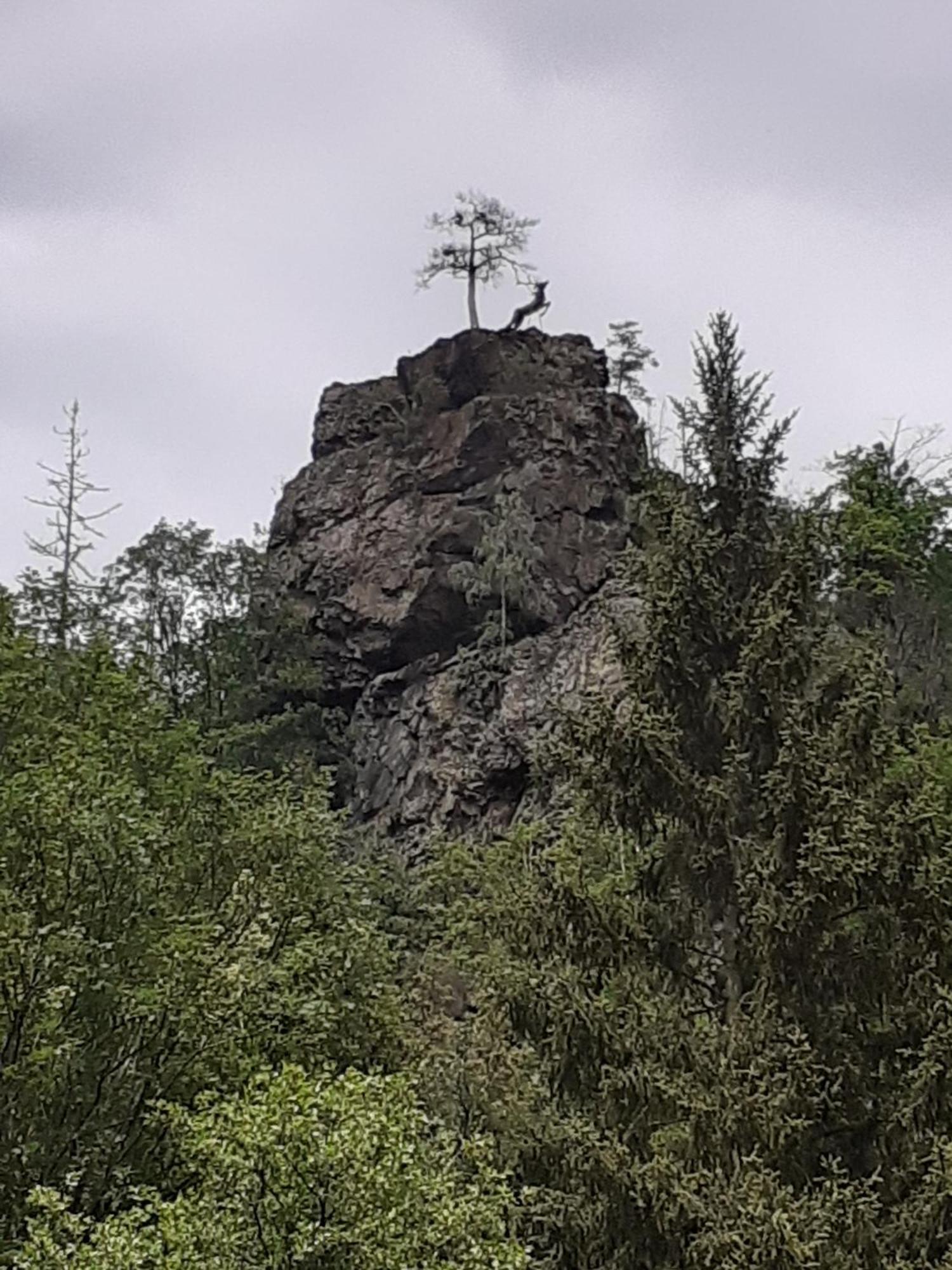 Ferienhaus Am See Lichtenberg Bayern Frankenwaldsee Eksteriør billede